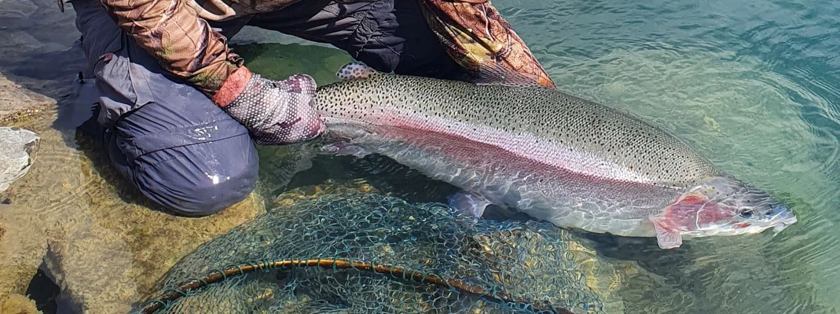 How To Catch Big Fish On The Twizel Canals