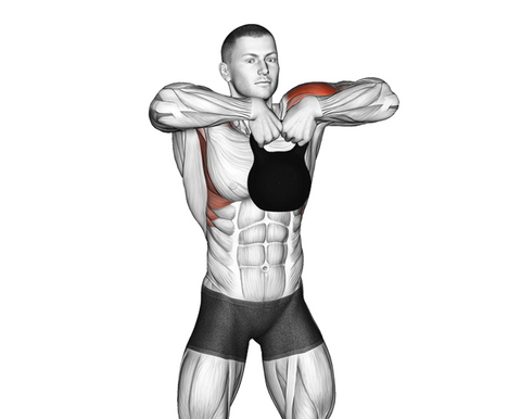 14 Effective Forearm Exercises for Muscle Growth, Strength, and Grip E ...