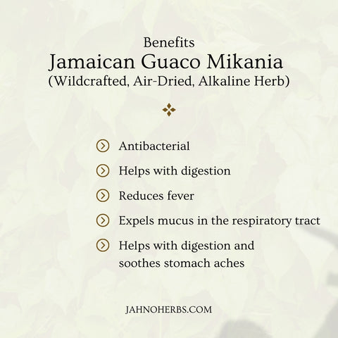 Benefits of Jamaican Guaco
