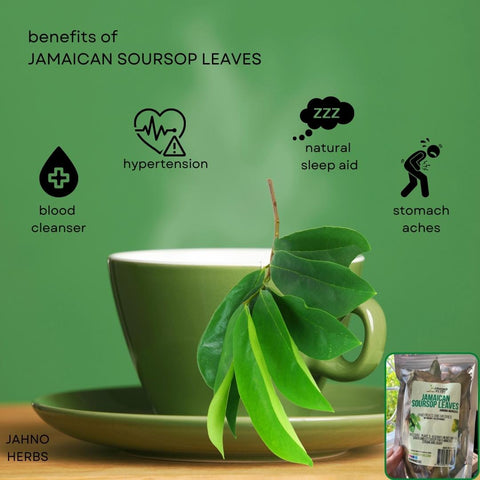 Benefits of Jamaican Soursop Leaves