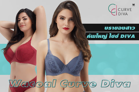 Bra for big cup girls Wacoal Curve Diva – Thai Wacoal Public