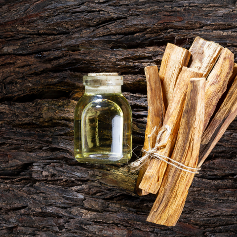 Uses and Benefits of Palo Santo Goddess Provisions