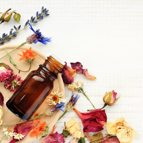 Healing Your Skin with Botanicals and Crystals Goddess Provisions