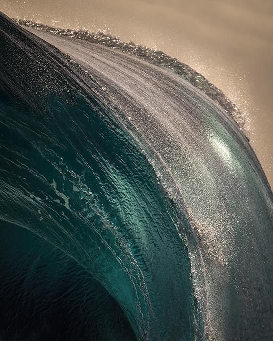 Bulbous – Ray Collins Photo