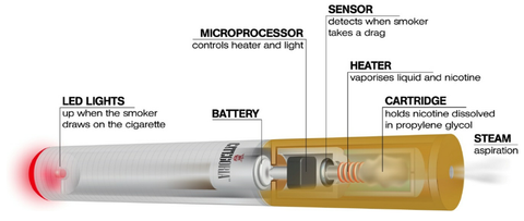 Nicotine Delivery System