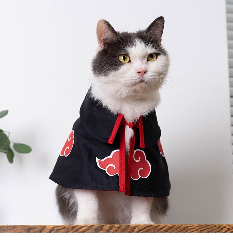 ChoChoCho Anime Cosplay Ninja Costume Akatsuki Cloak for Dogs and Cats  Anime Plush Robe Halloween Outfit for Dogs Cats Puppies  Buy Online at  Best Price in KSA  Souq is now