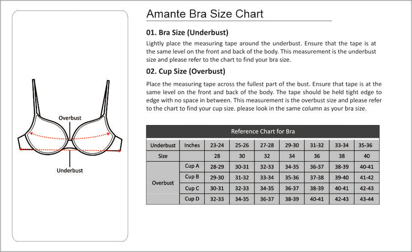 Amante Smooth Charm Padded Non Wired Full Cover T-Shirt Bra (Black) St ...