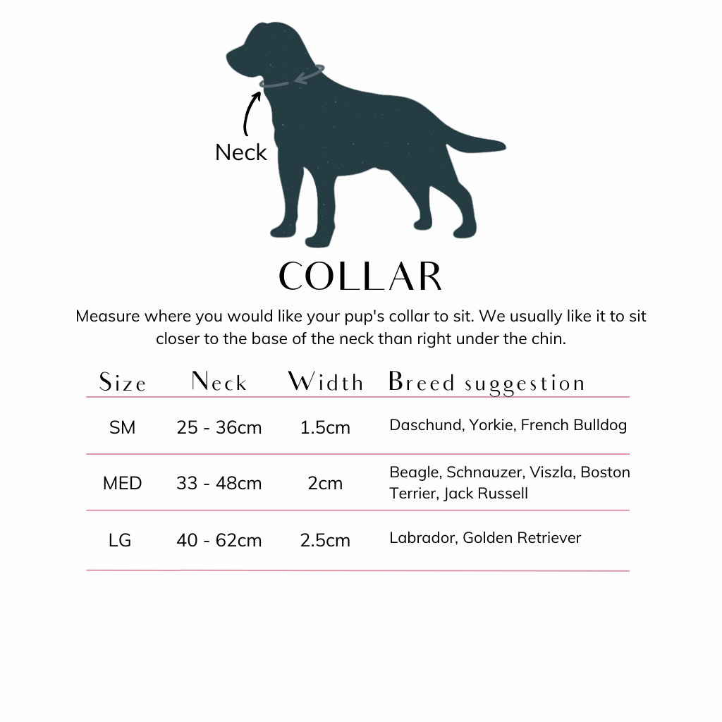 dog collar size guide