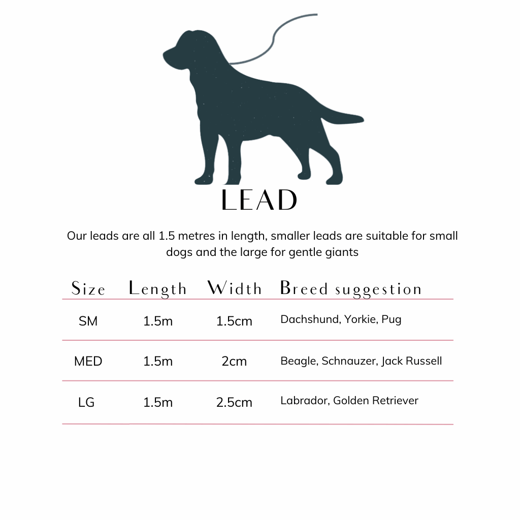 dog lead size guide