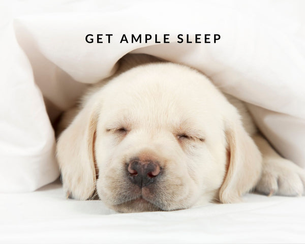 get ample sleep