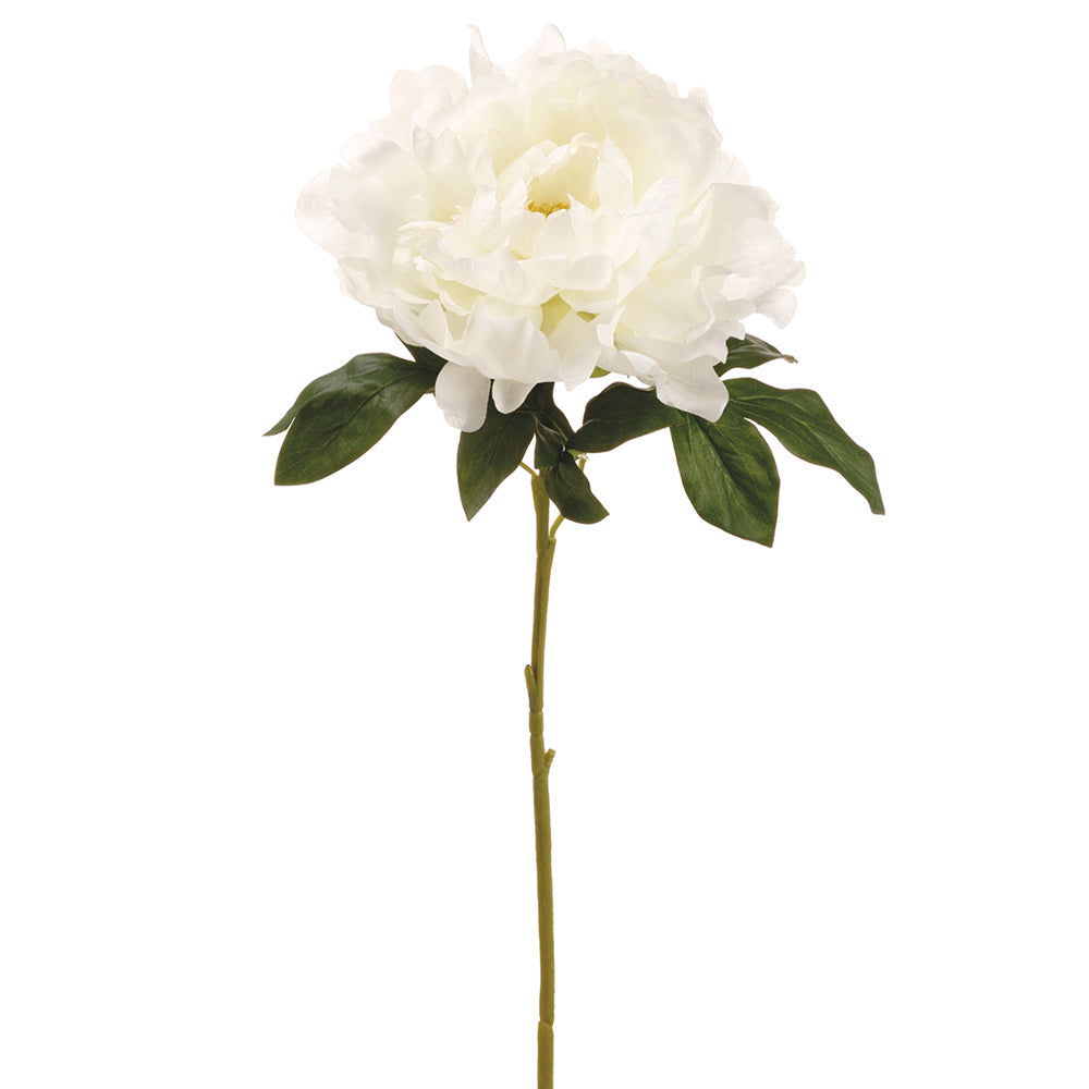 PEONY BLANCA 59 CM - handgarden