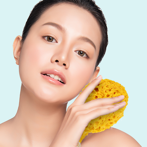 Cosmetics - Makeup Sponges - Annie International