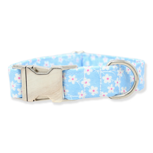 Shop Sunny Tails Malibu Blue Gingham Dog Collar - Blue - L