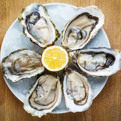 oysters are good nutritional support when coming off hormonal birth control