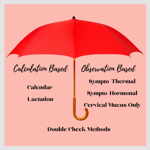 Types of FABMS under an umbrella - Calculation-Based: Calendar & Lactation; Observation-Based: Sympto-Thermal, Sympto-Hormonal, & Cervical Mucus Only, with double check methods under both