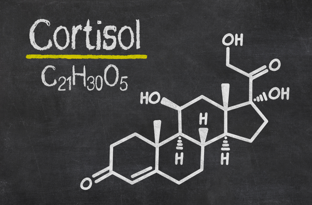 Cortisol molecule diagram