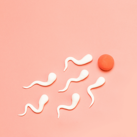 5 Things You Need to Know About Cervical Mucus