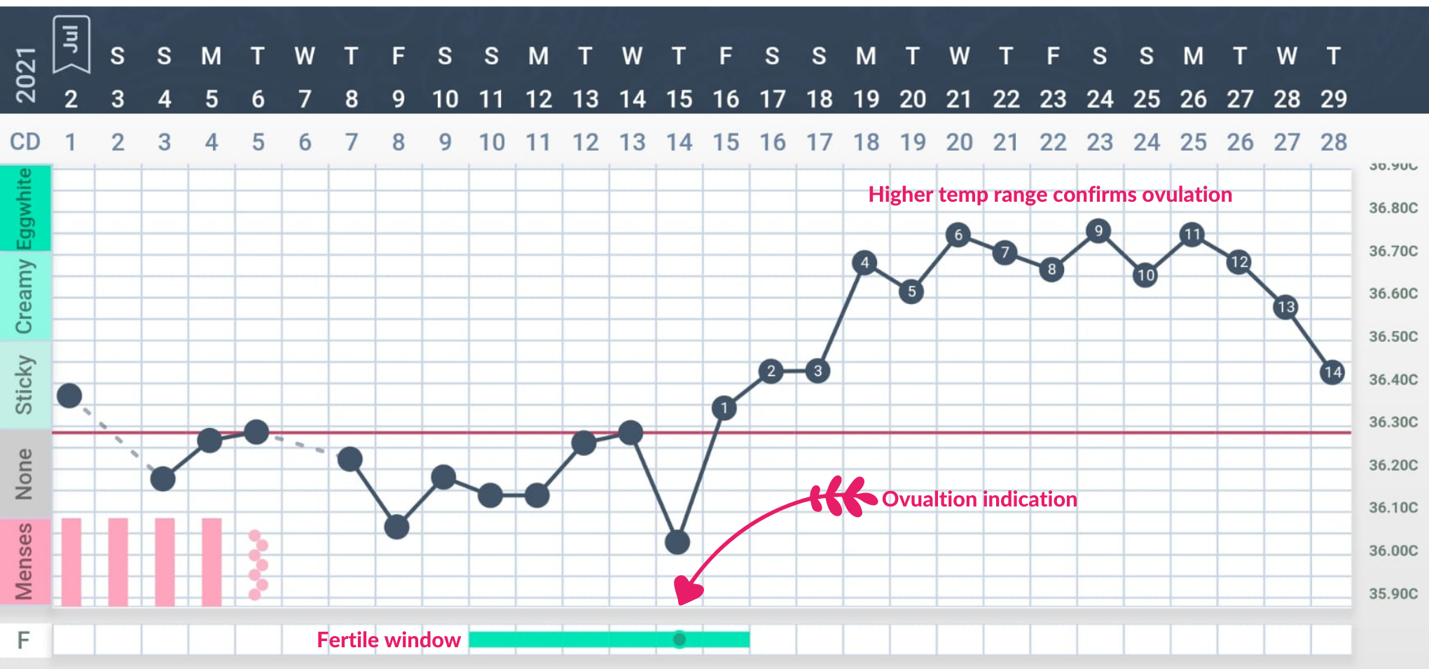 Are my luteal phase temps too low?