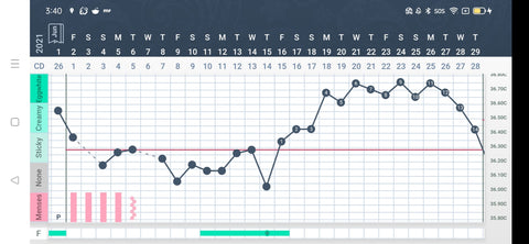 Chart displaying temperatures which are higher after ovulation