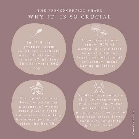 Why the Preconception Phase is so crucial Infograph