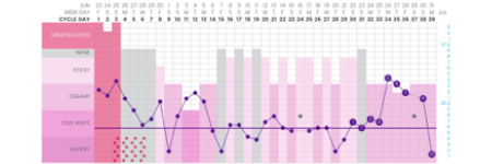 Sarah Broadberry Basal Body Temperature Chart