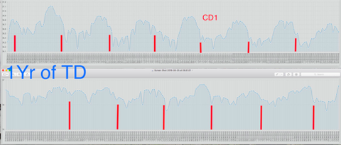 Tempdrop Year of Sleeping Temperature Data Chart