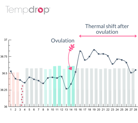 Fertility chart identifying ovulation