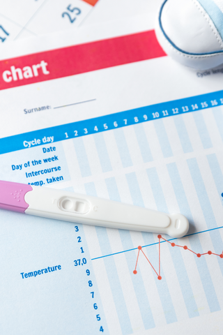 fertility charting