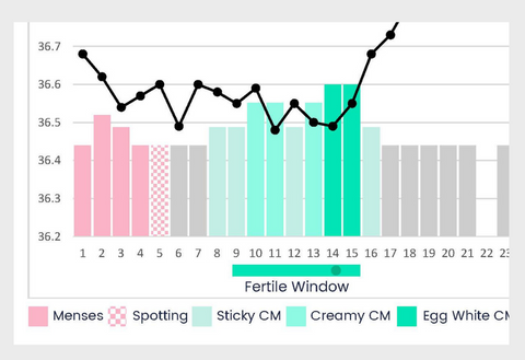 fertility awareness chart