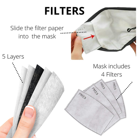 Pm2.5 filters for fabric face masks