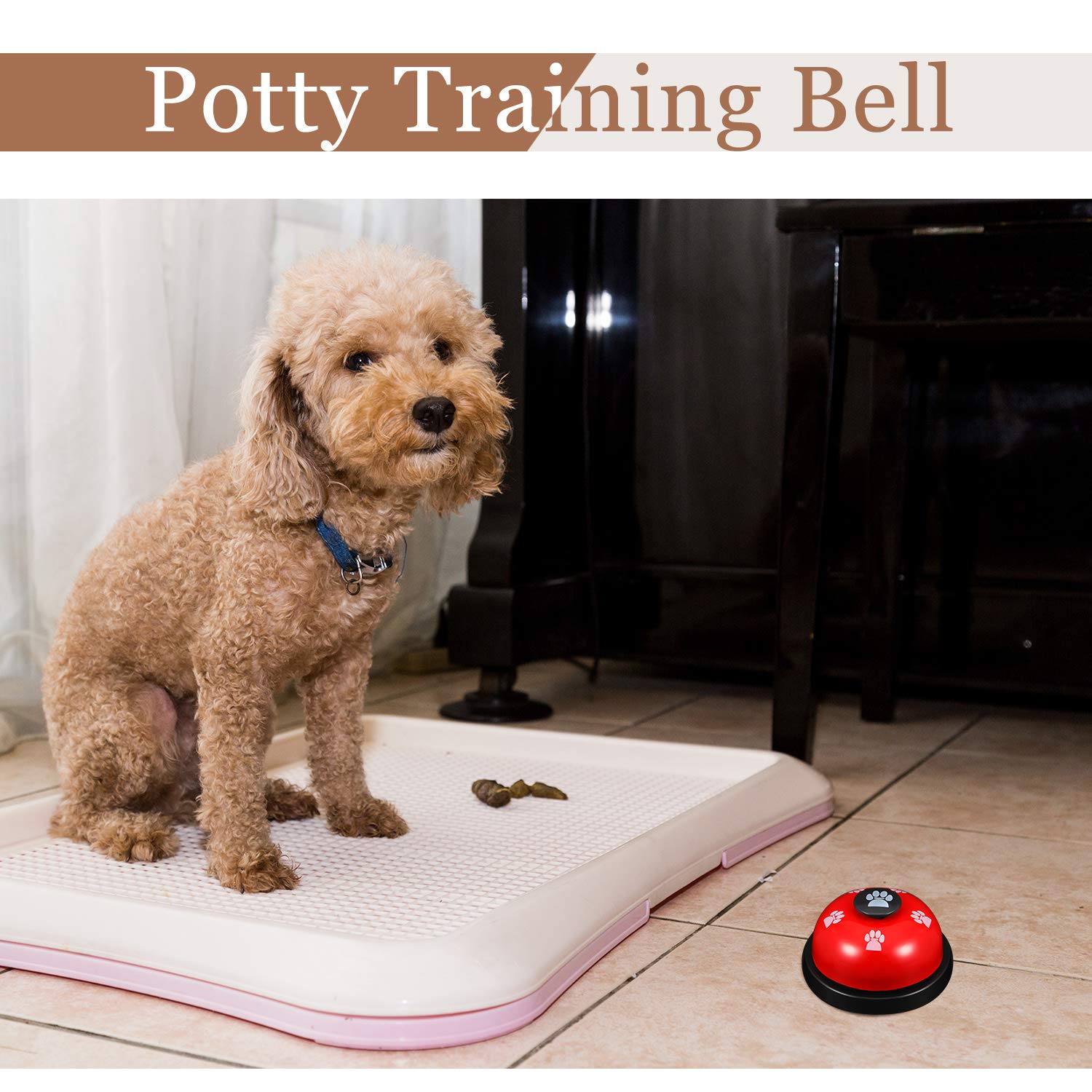 where to buy a bell for dog training