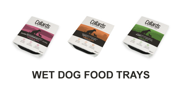 collards wet dog food trays