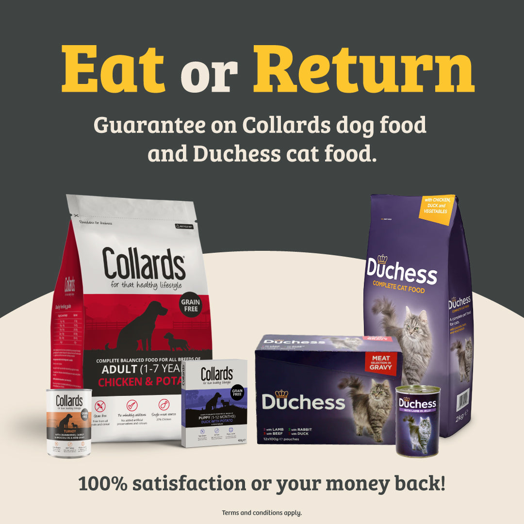 eat or return guarantee