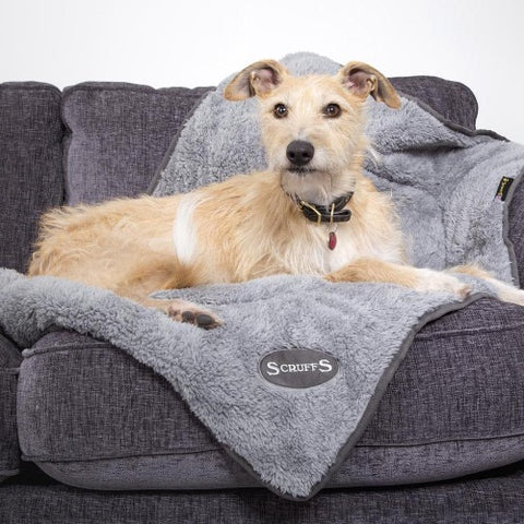 scruffs dog blanket