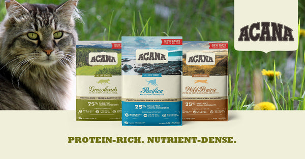 grain free acana cat food