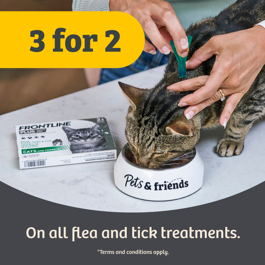3 for 2 on all Flea & Tick
