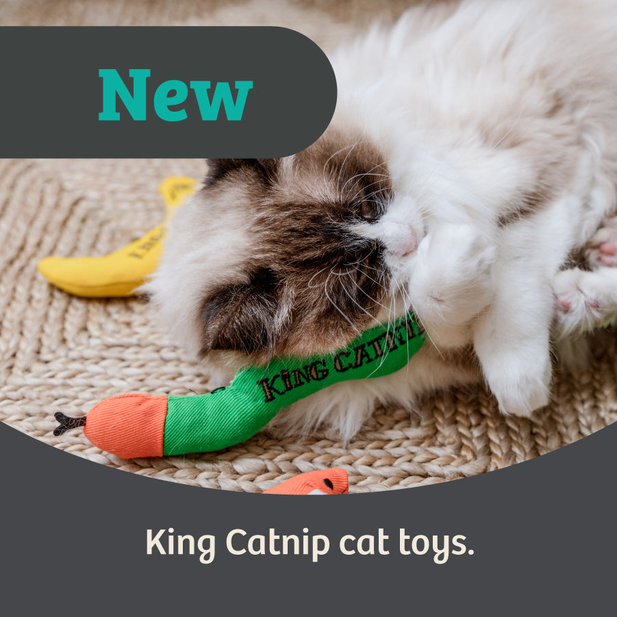 King Catnip - NEW