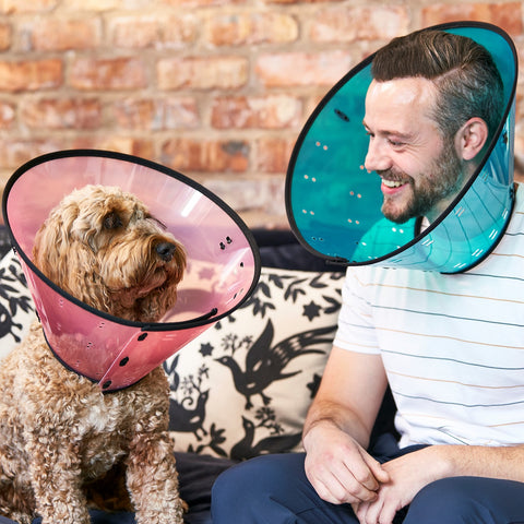 dog and owner with medical cones around their neck