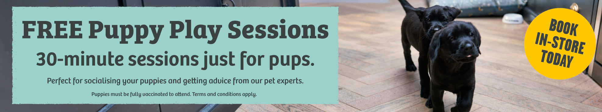 free puppy sessions