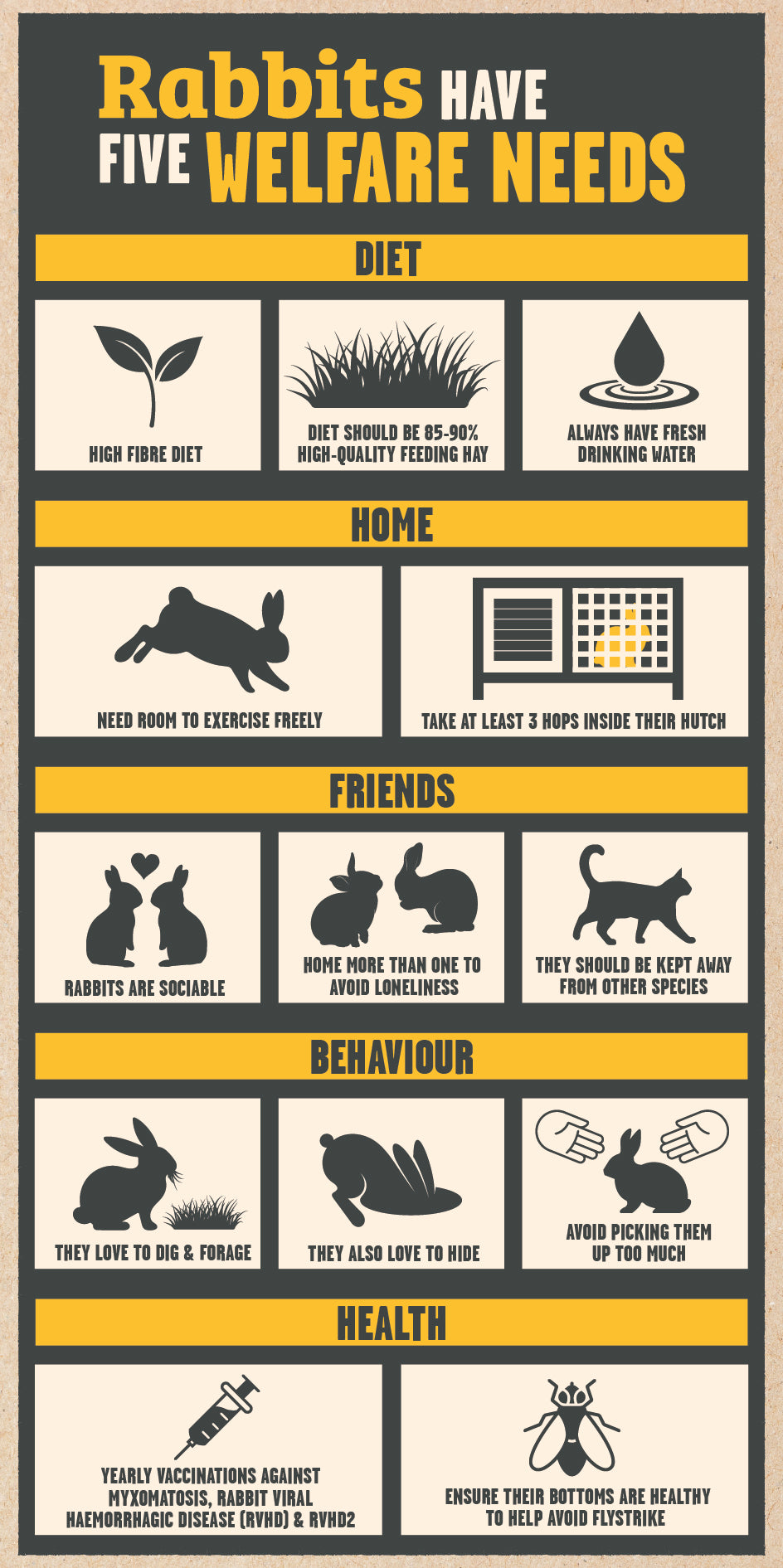 rabbit welfare needs infographic