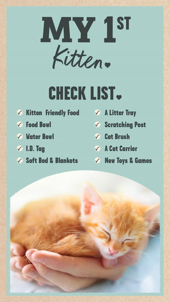 kitten check list