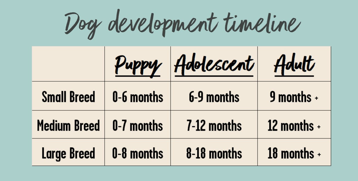 dog development timeline