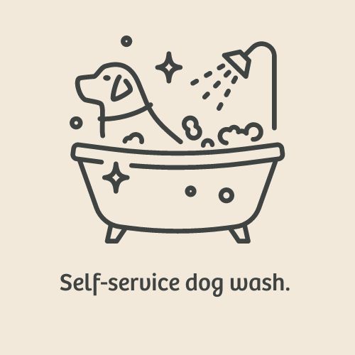 self service dog wash