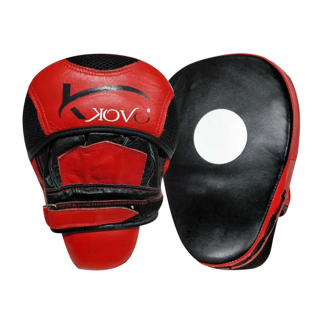 focus pads boxing