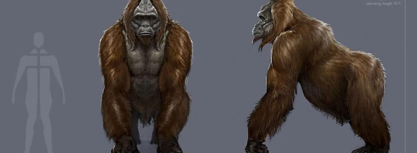 gigantopithecus