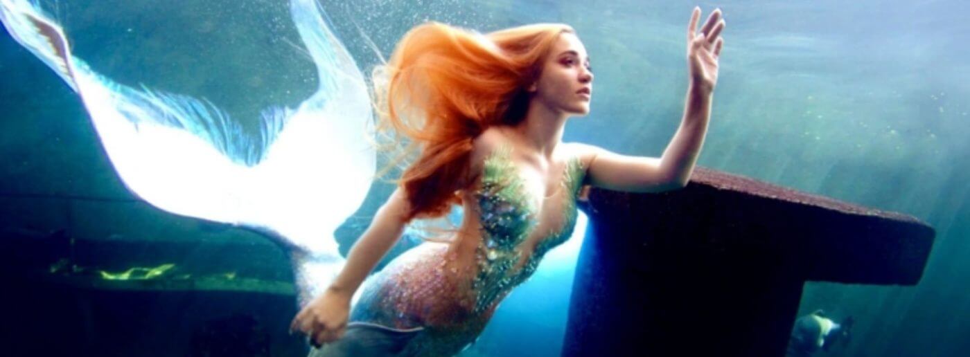 mermaid-aquatic-world