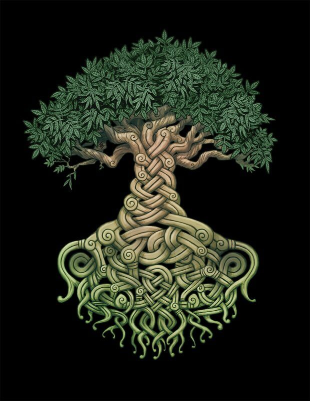 yggdrasil-viking-tree-of-life-symbol