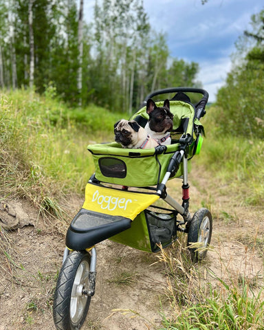 Running with your Dogger dog stroller