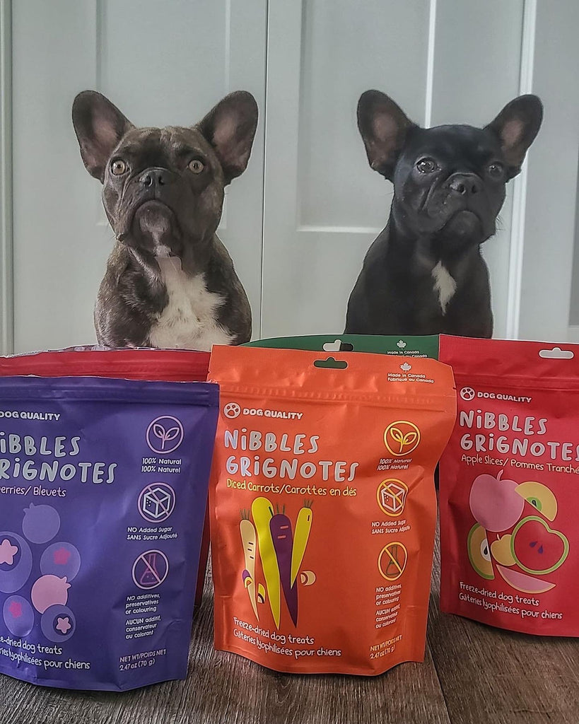 Nutritious freeze-dried fruit and vegetables | Give your dog a healthier treat option