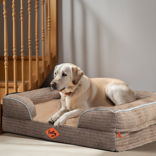 Benefits of Therapeutic Memory Foam for Orthopedic Dog Beds